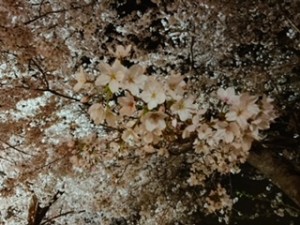 image1 (4) - コピー